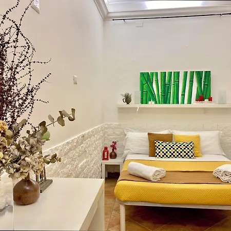 Domus Romana בית הארחה רומא