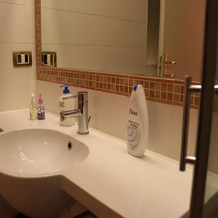 Guest house Domus Romana 4*